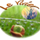 nouveaulogo vivier